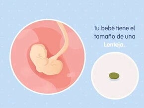 Conoce lo que sucede a las 4 semanas de embarazo