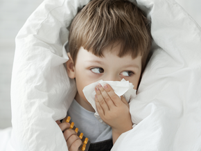 ¿Qué puedo hacer para evitar las alergias?