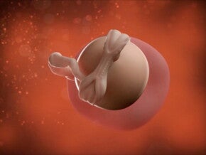 Tu hijo está creciendo a pasos agigantados.